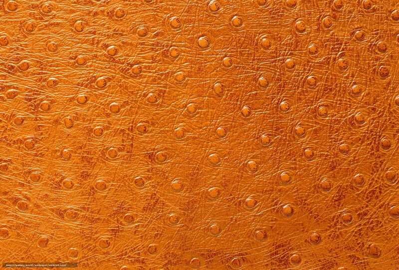 Ostrich Leather Texture — Brown