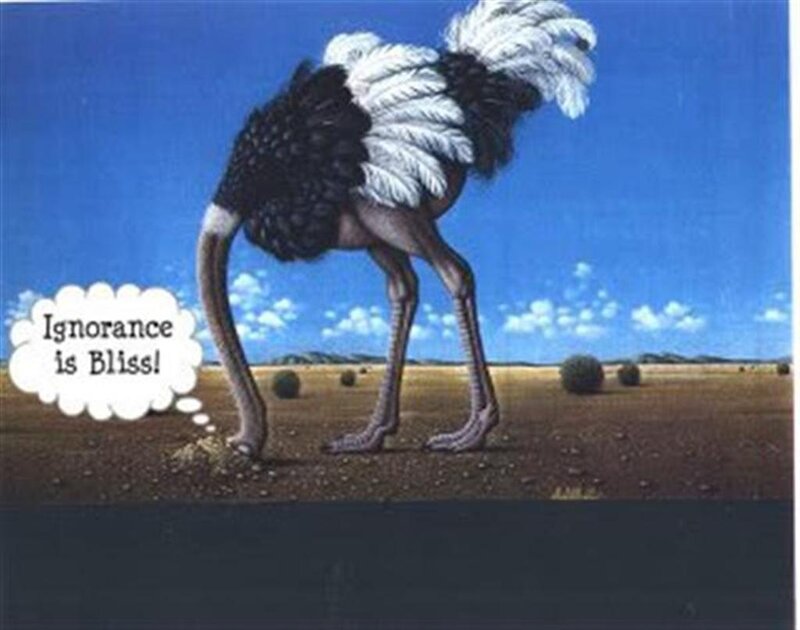 Ostrich with thought bubble