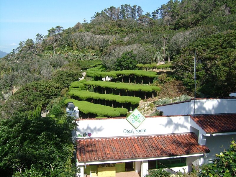 Otea's room garden view