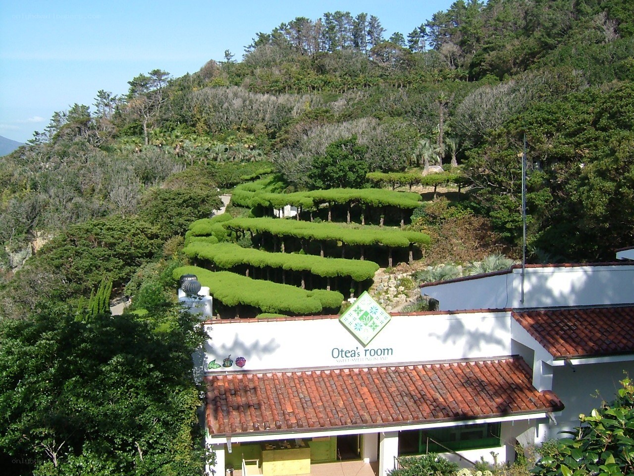 Otea's room garden view