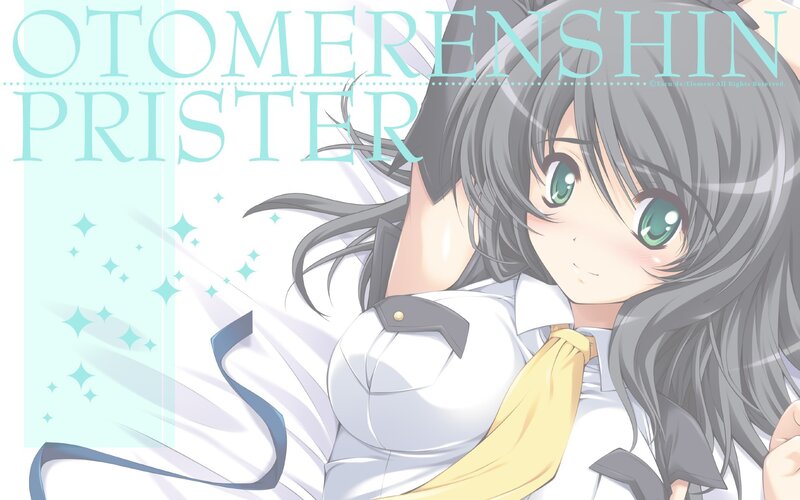 Otome Renshin Prister artwork