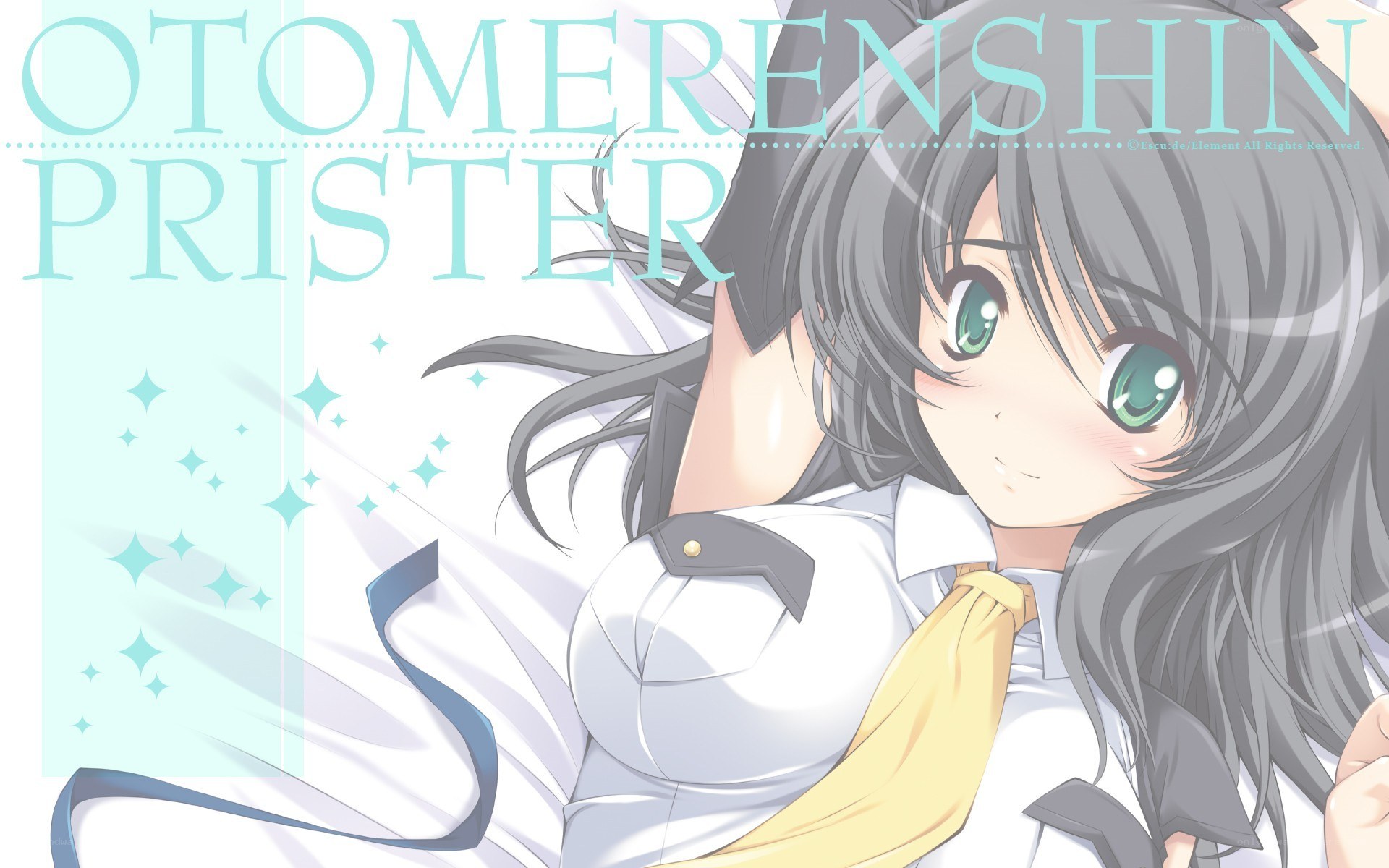 Otome Renshin Prister artwork