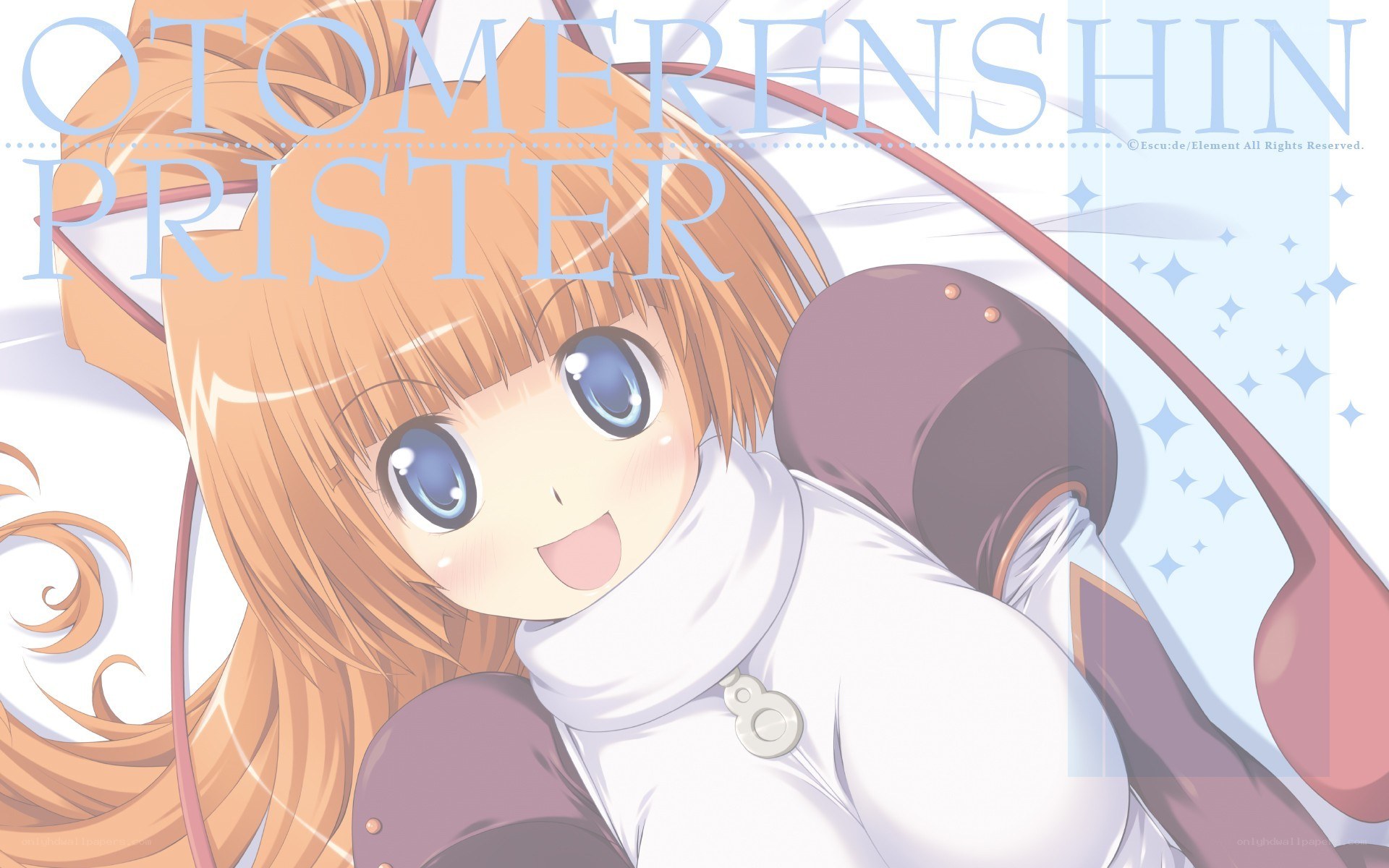 Otome Renshin Prister