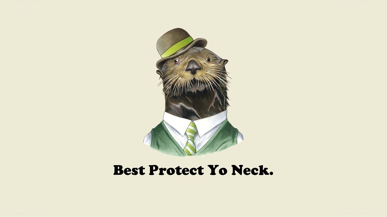 Otter in a suit