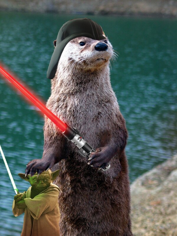 otter with lightsaber