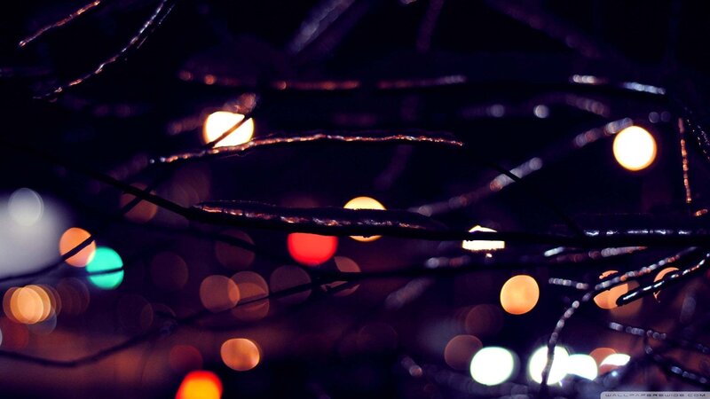Out-of-focus Lights on Branches