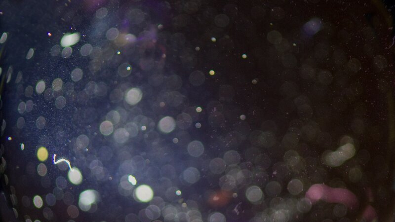 Out-of-focus Particles
