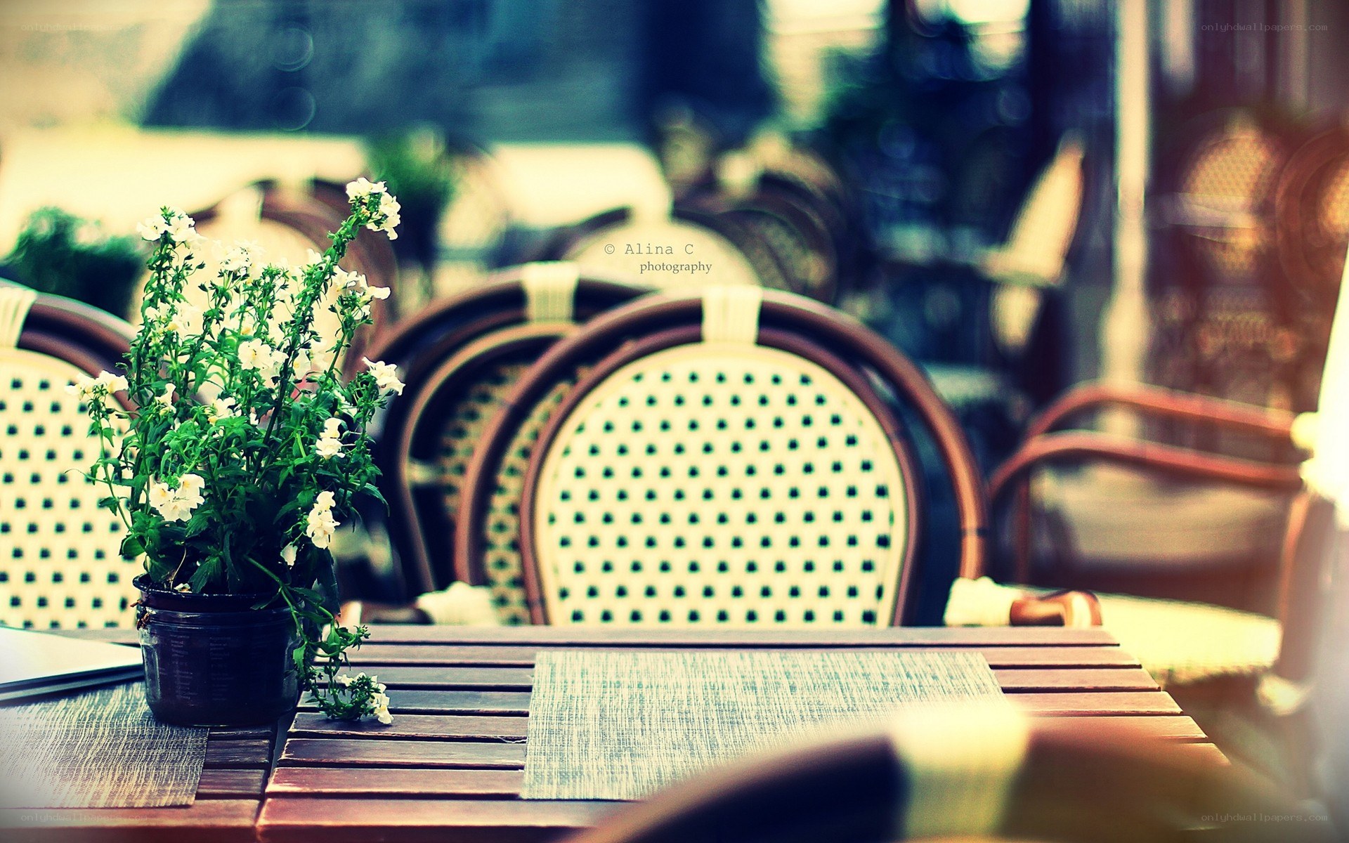 Outdoor cafe table with flowers