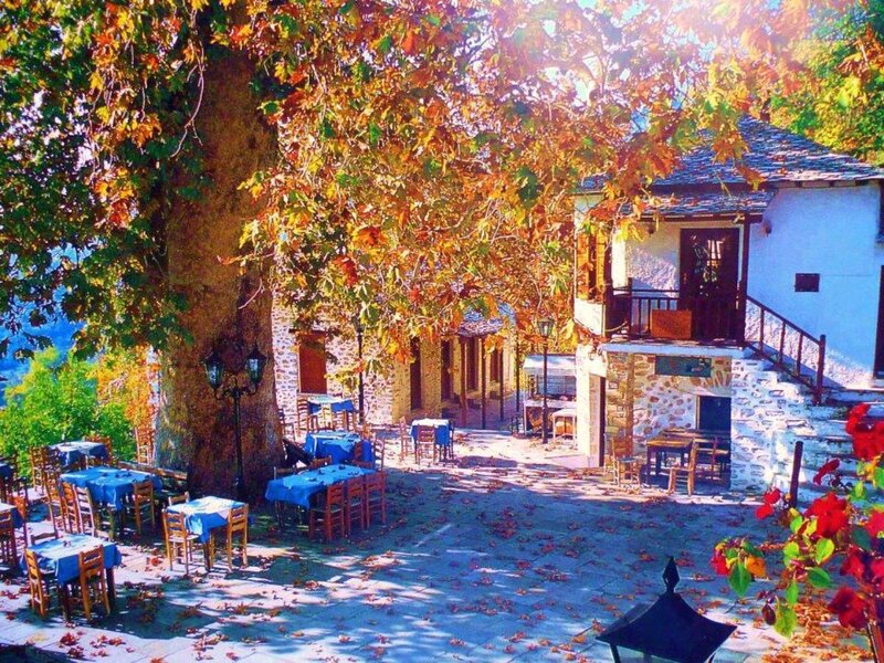 Outdoor Cafe under Tree
