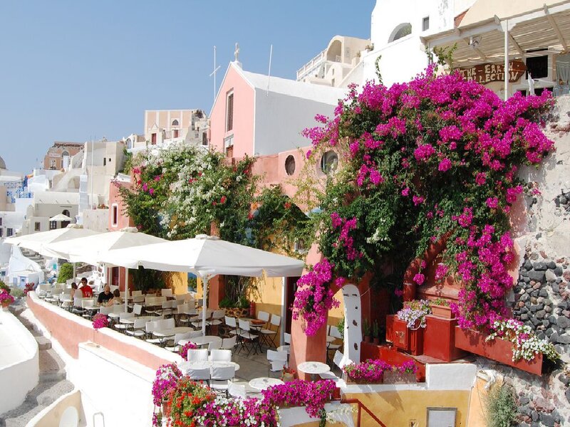 Outdoor Cafe with Flowers