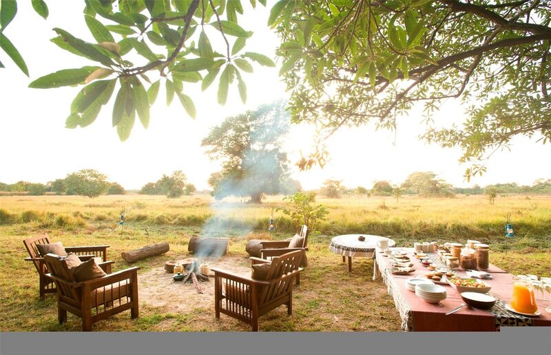 Outdoor Dining Setup — Green, Serene
