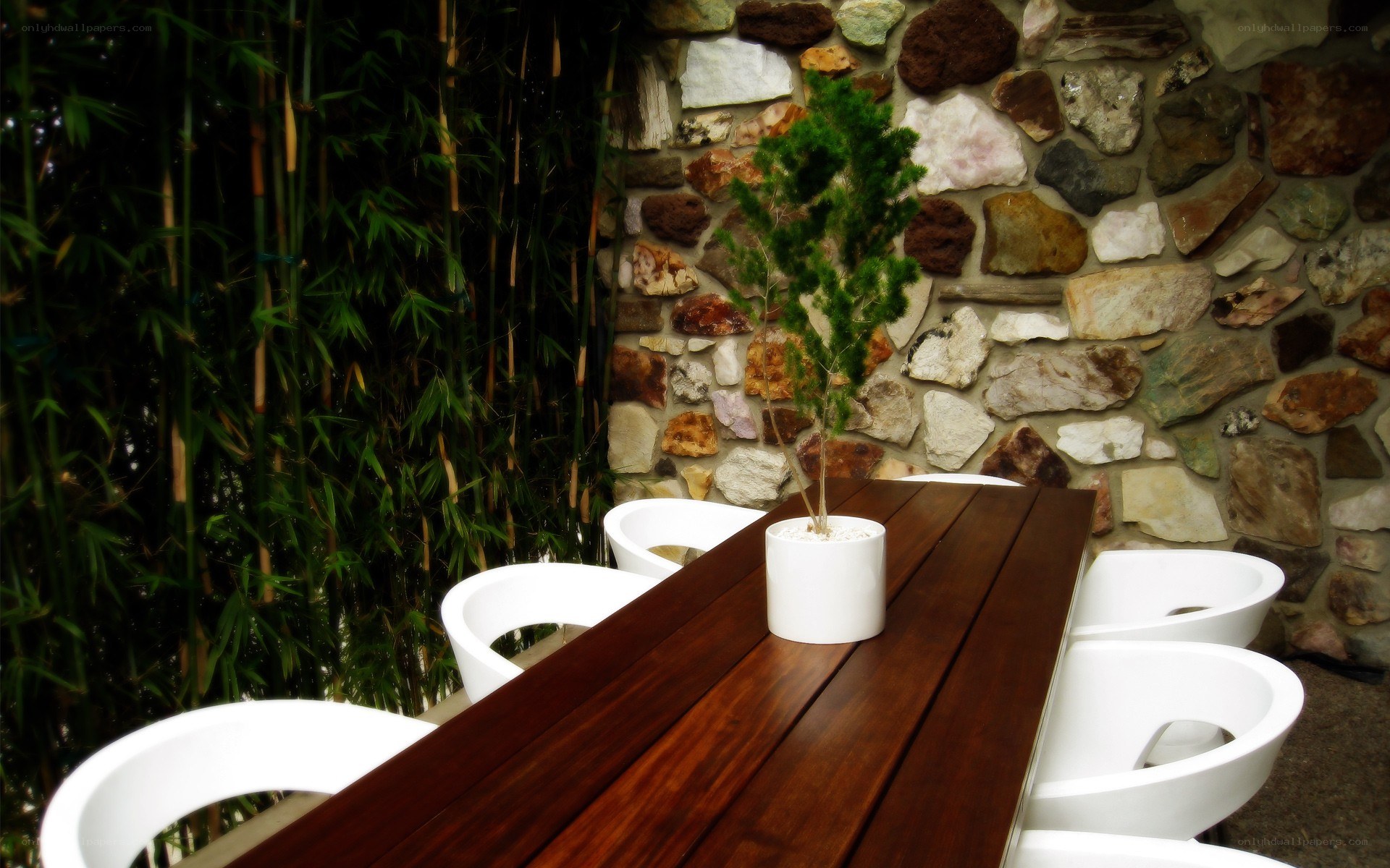 Outdoor dining with bamboo backdrop