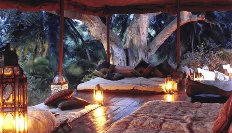 Outdoor Lounge under Tree — Brown