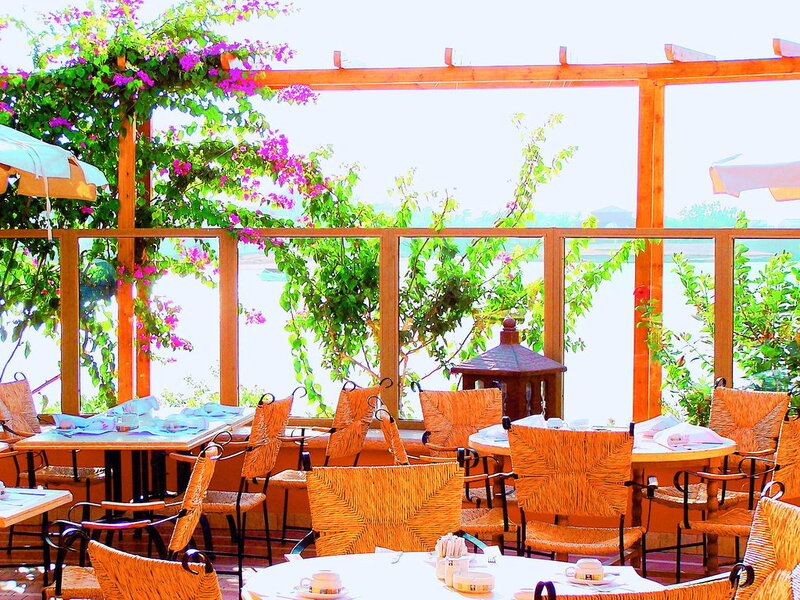 Outdoor Restaurant Seating — Orange