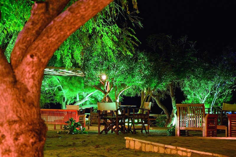 Outdoor Seating Area — Green, Serene