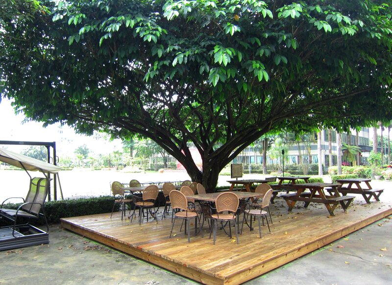 Outdoor Seating under Tree
