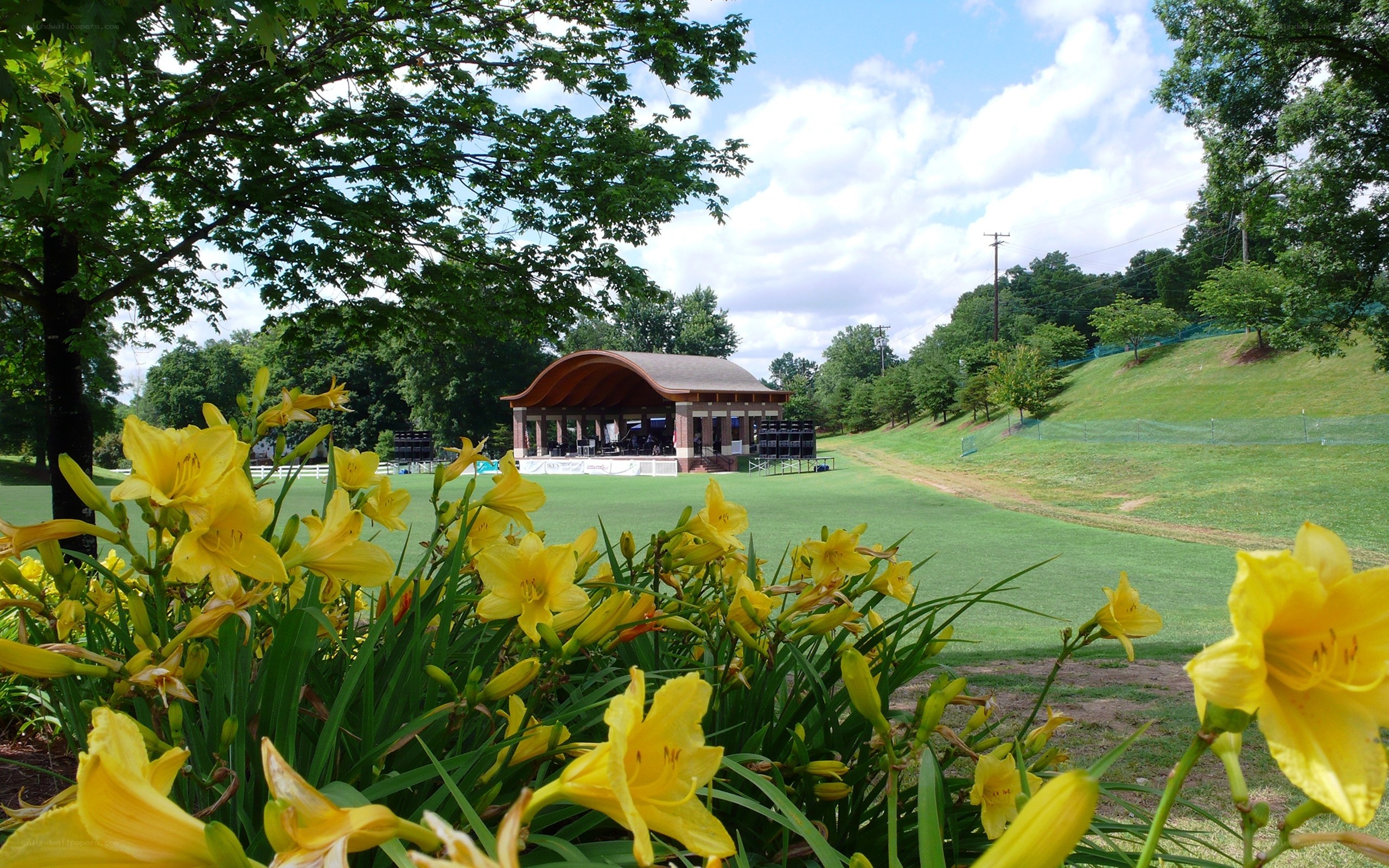Outdoor stage with yellow flowers