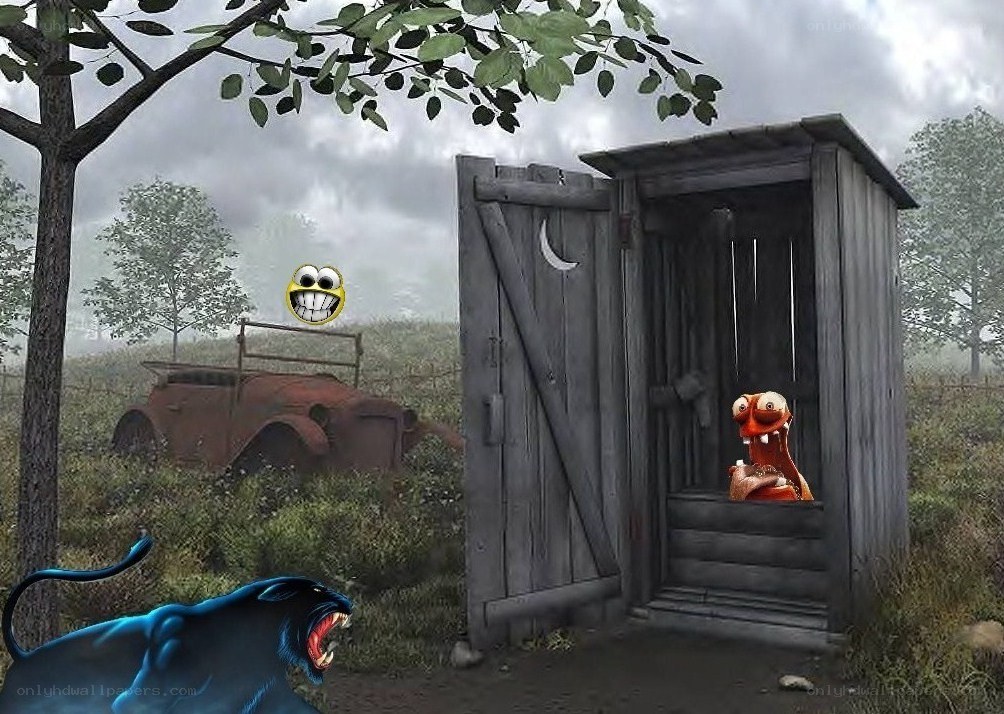Outhouse with cartoon characters