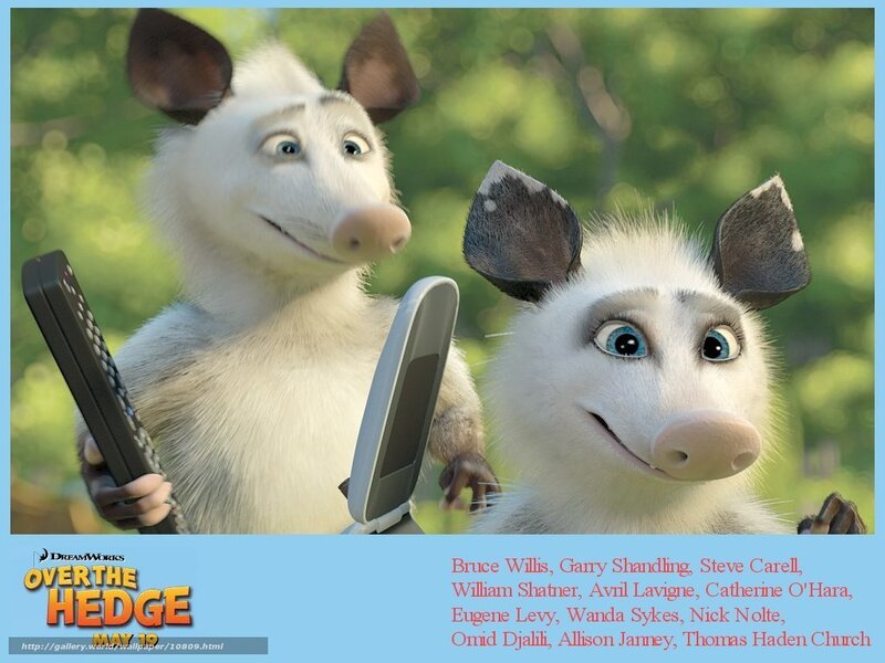 Over the Hedge characters