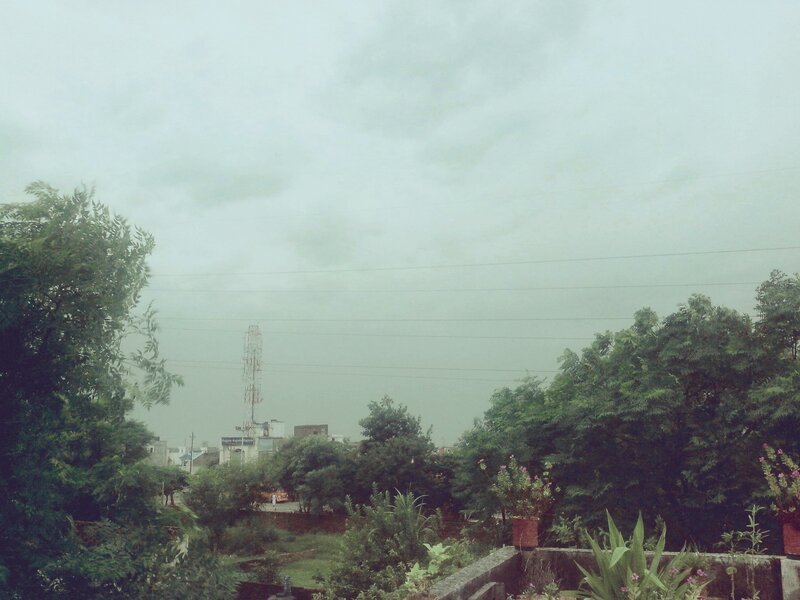 Overcast City View