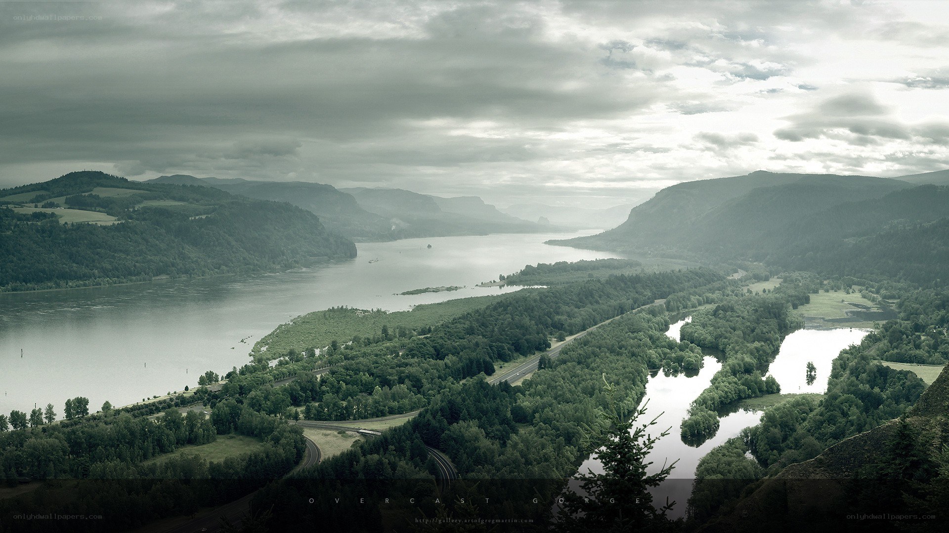 Overcast gorge landscape