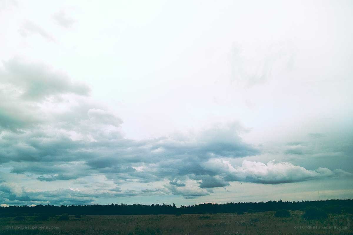 overcast sky over a field