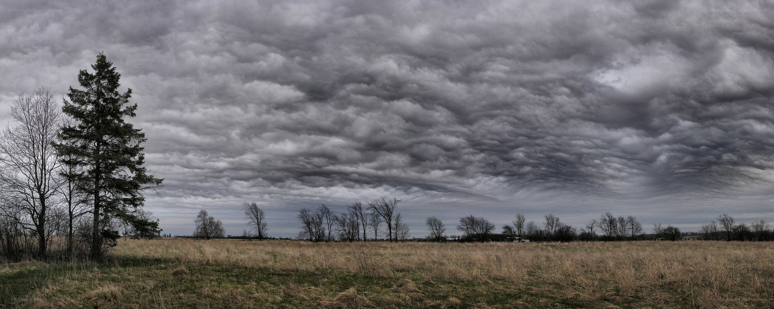 Overcast sky over a field