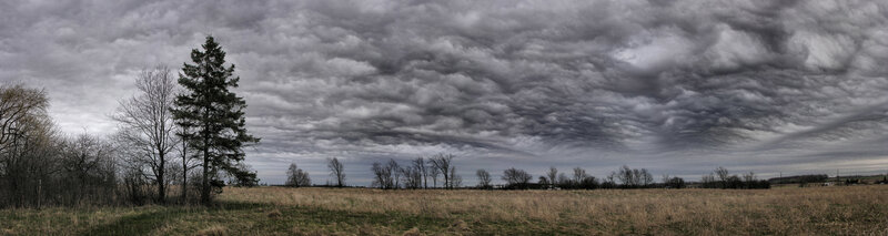 Overcast sky over a field