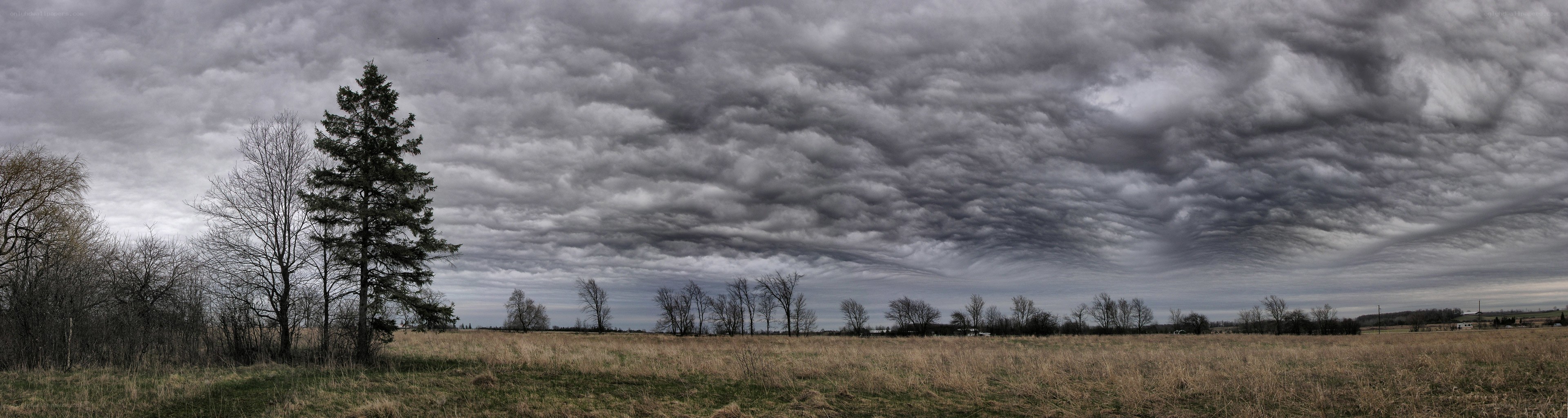 Overcast sky over a field
