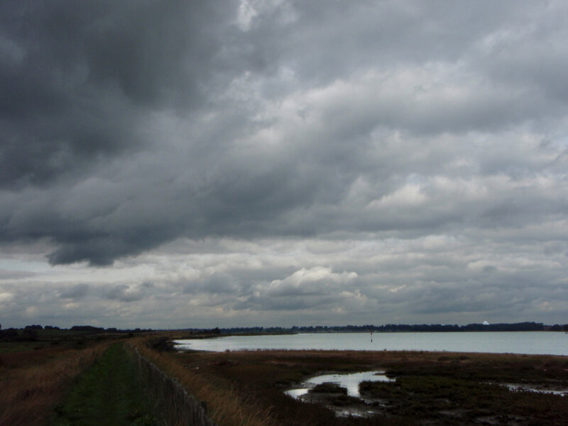 Overcast Sky over Marsh
