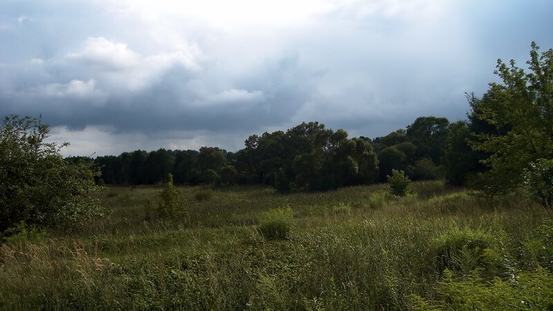 Overcast Sky over Meadow