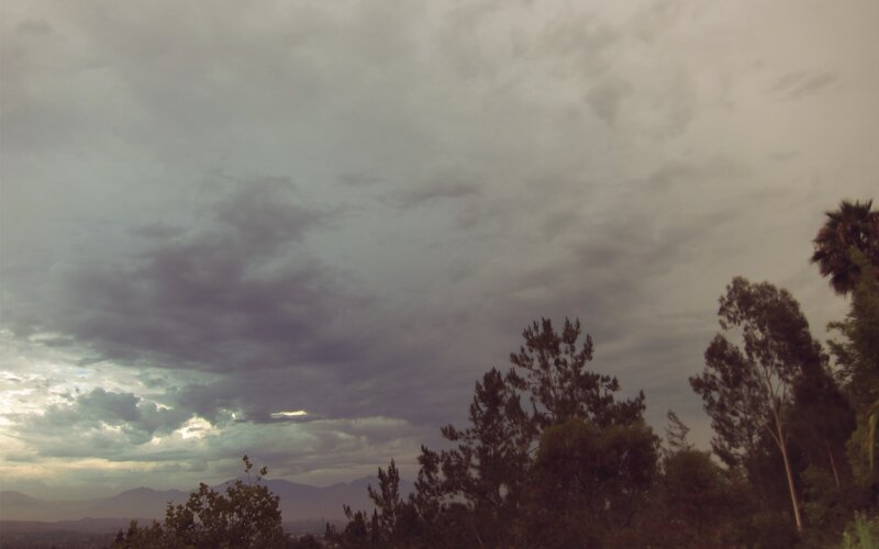 Overcast sky with trees