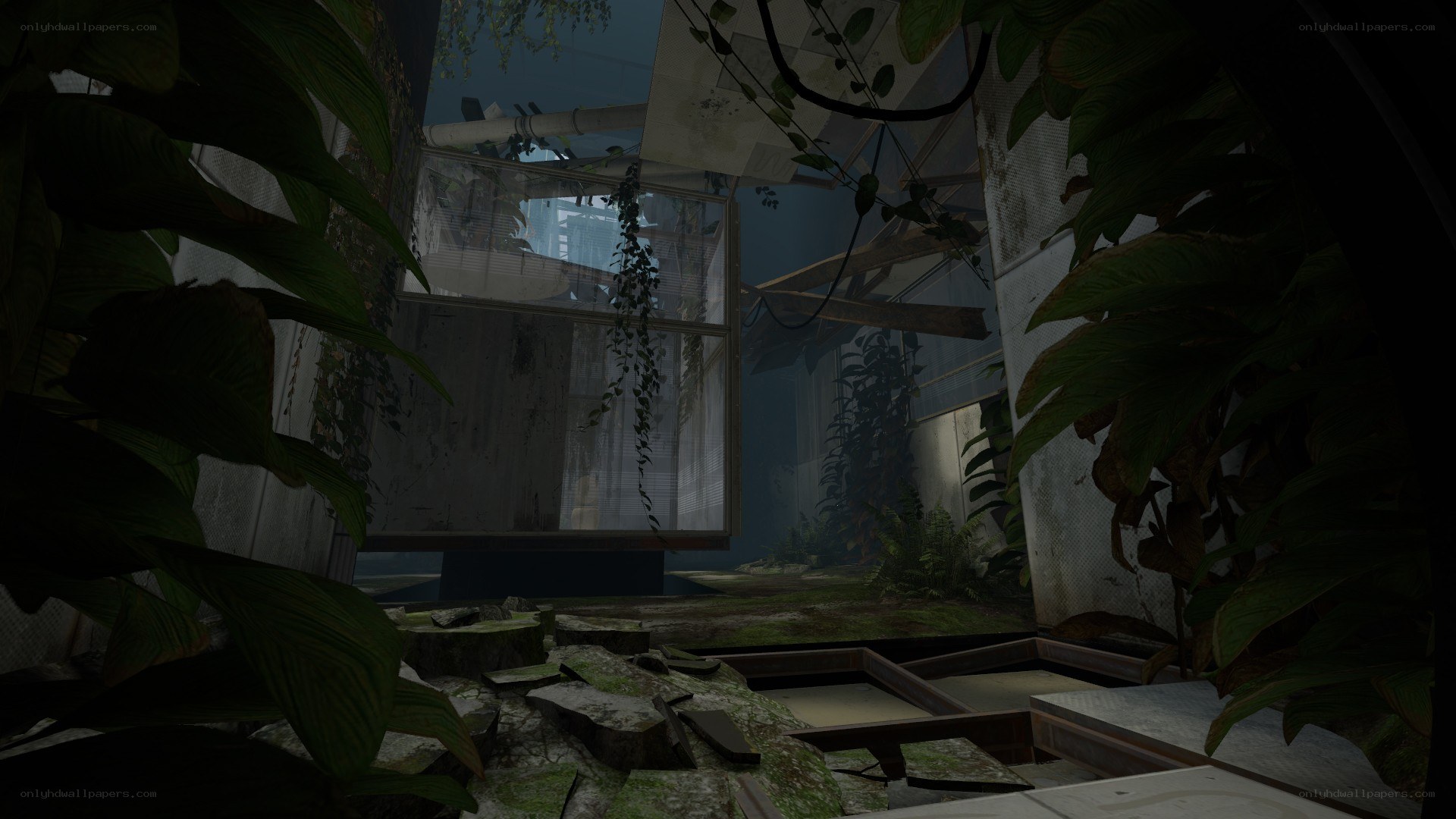 overgrown abandoned greenhouse