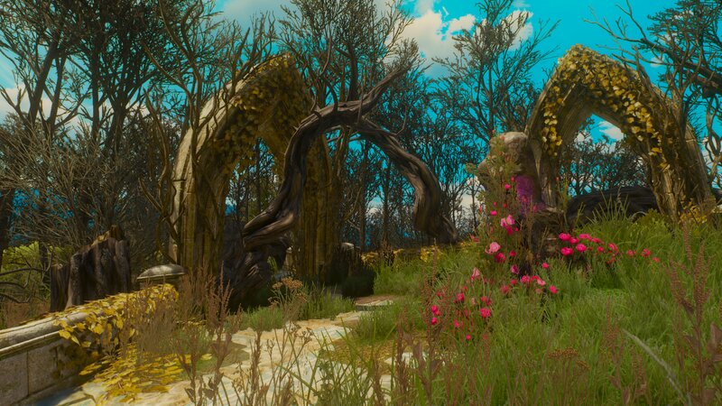 Overgrown Arches in Forest