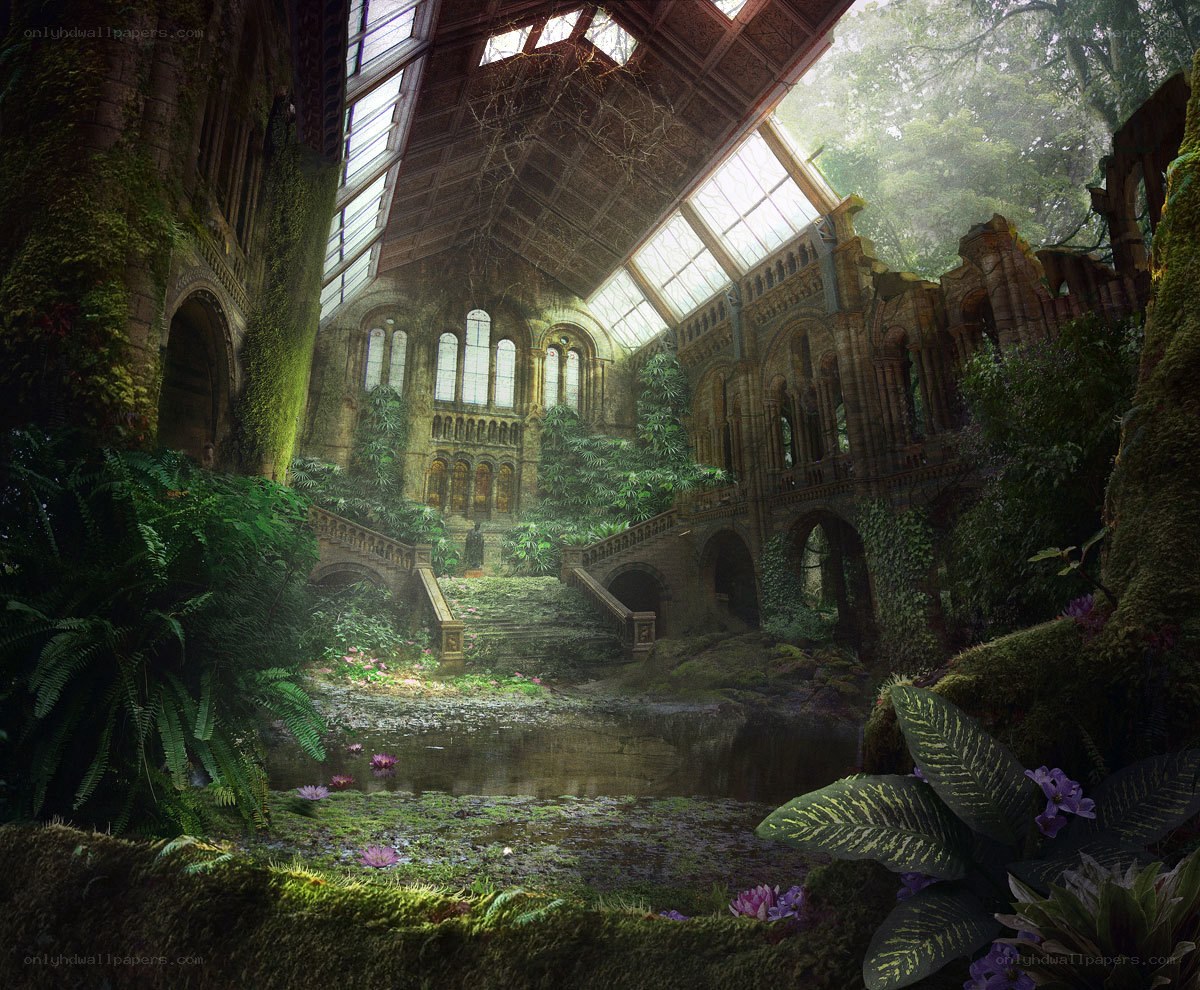 overgrown cathedral ruins