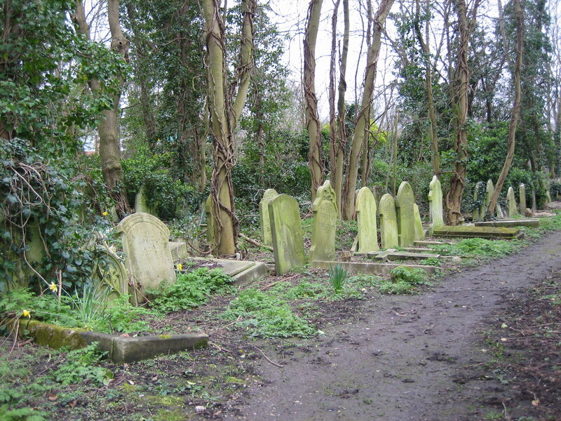 Overgrown cemetery path