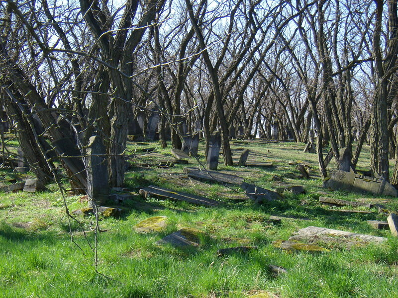 Overgrown Cemetery