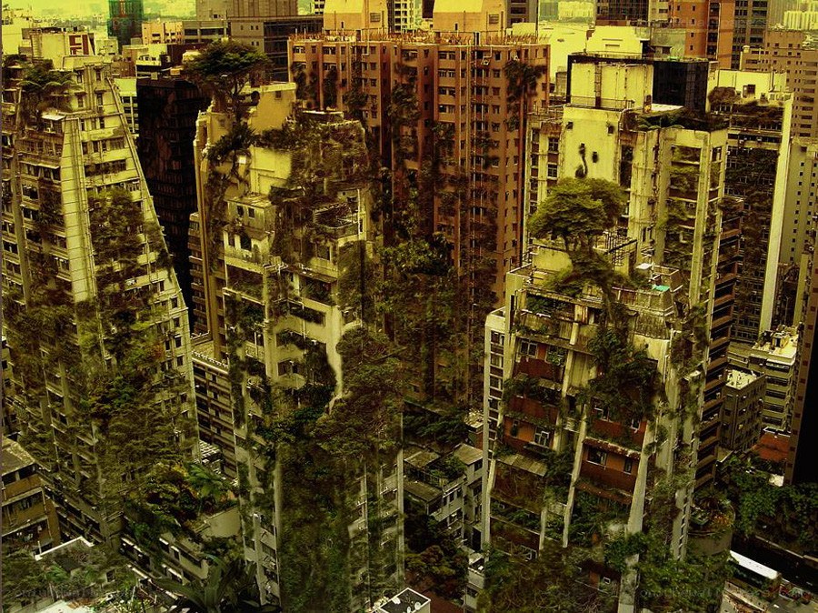overgrown city buildings