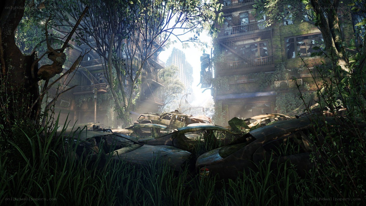 Overgrown city ruins