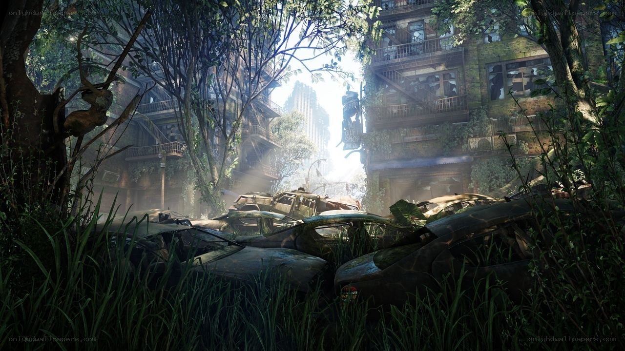 Overgrown city ruins