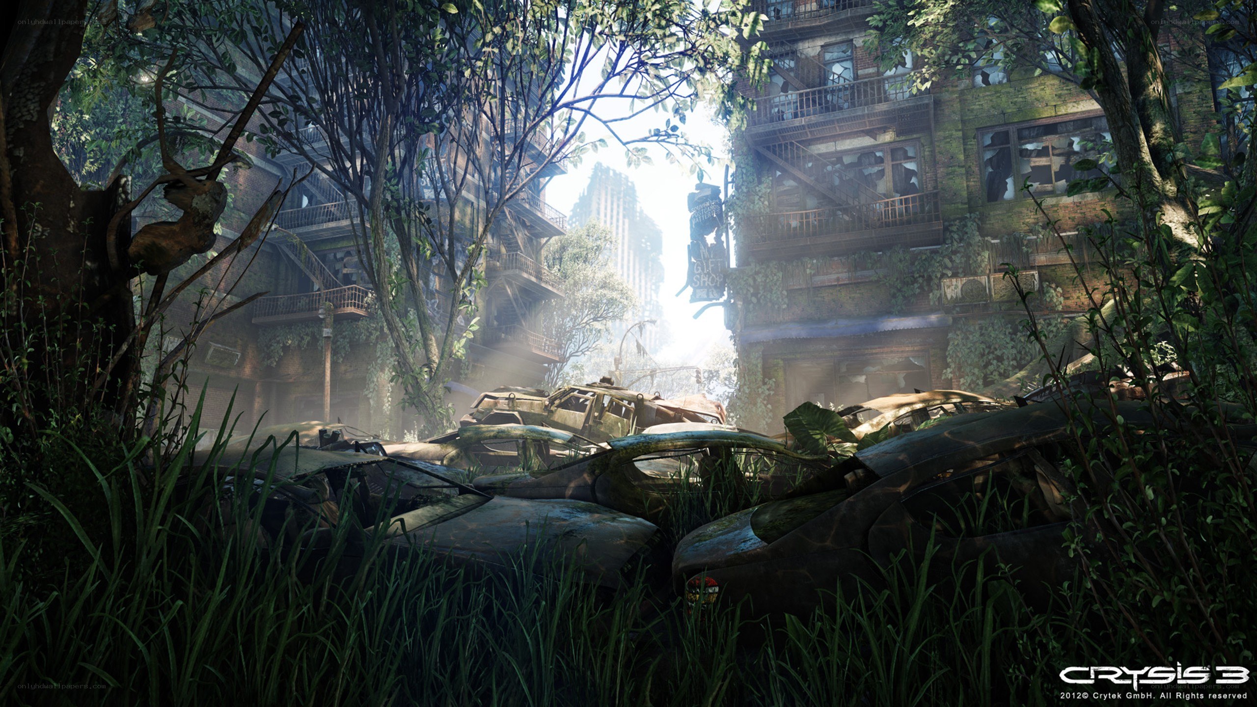 Overgrown city ruins
