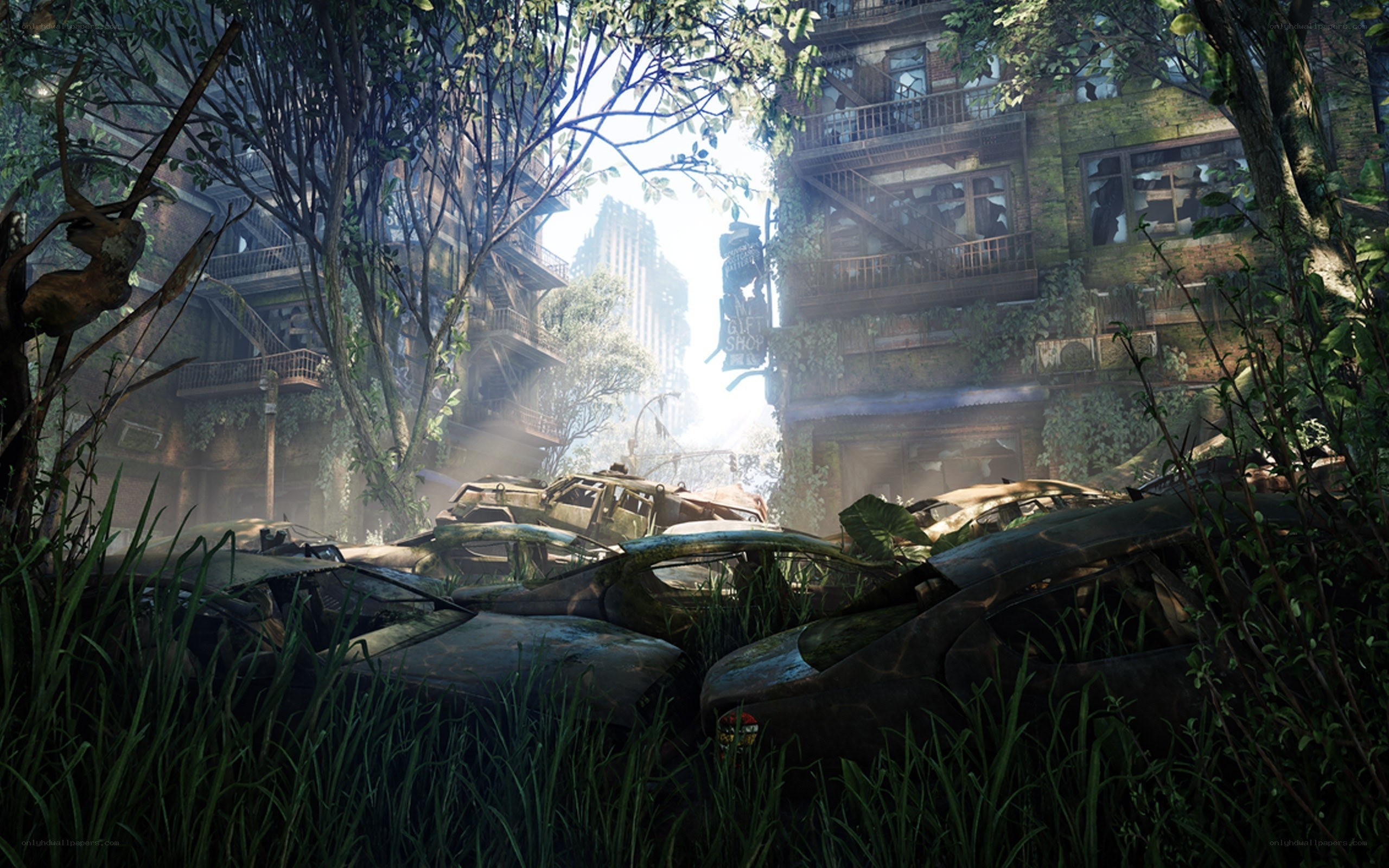 Overgrown city ruins