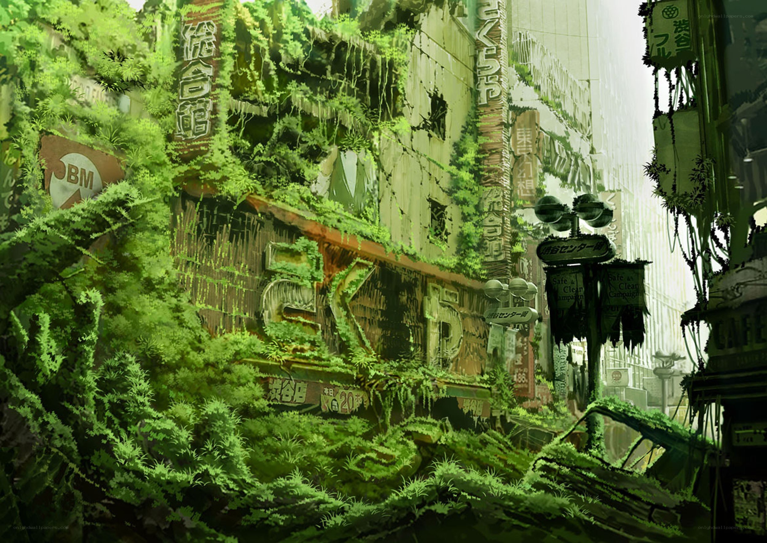 overgrown city ruins