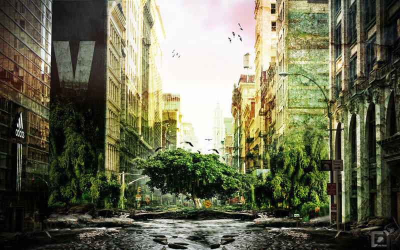 Overgrown city street
