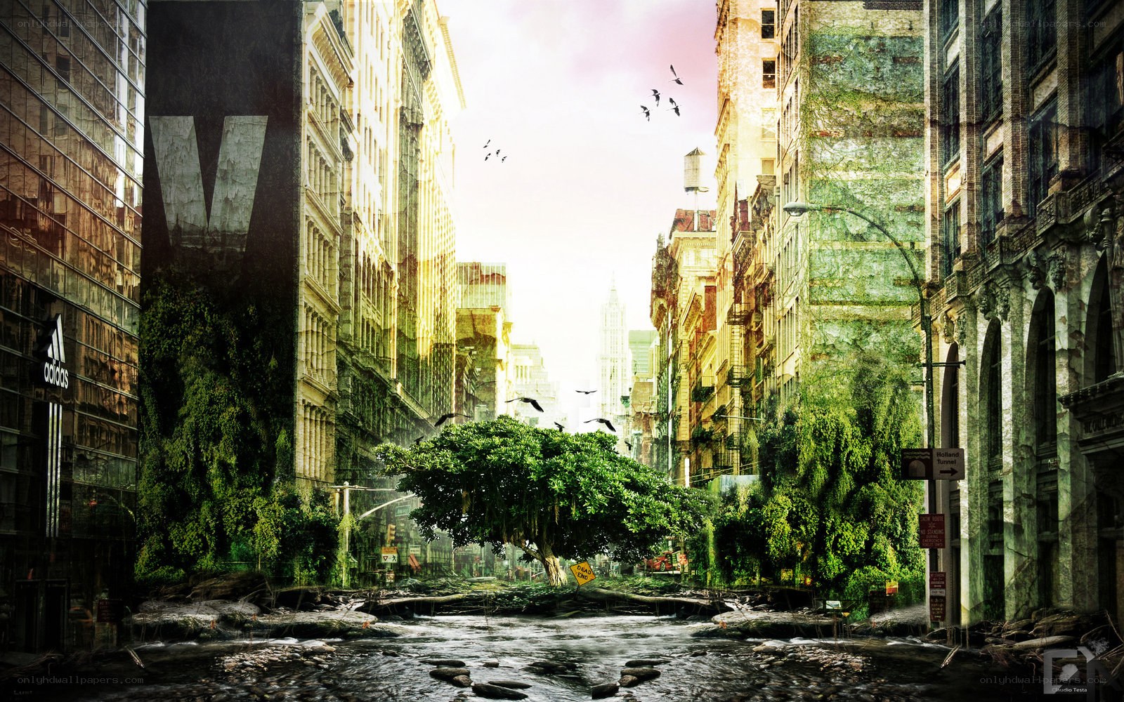 Overgrown city street