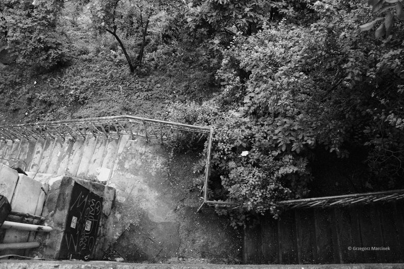 Overgrown concrete staircase