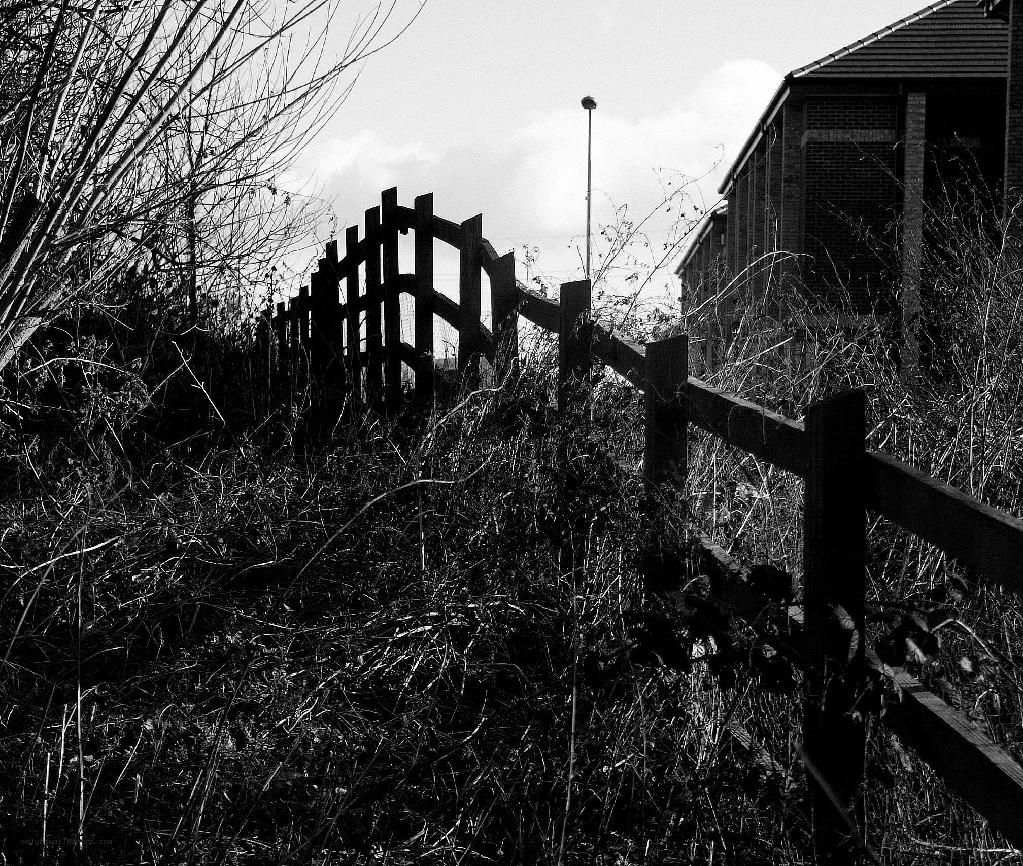 Overgrown fence and building