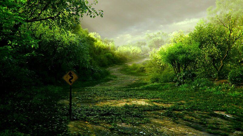 Overgrown Forest Path — Green