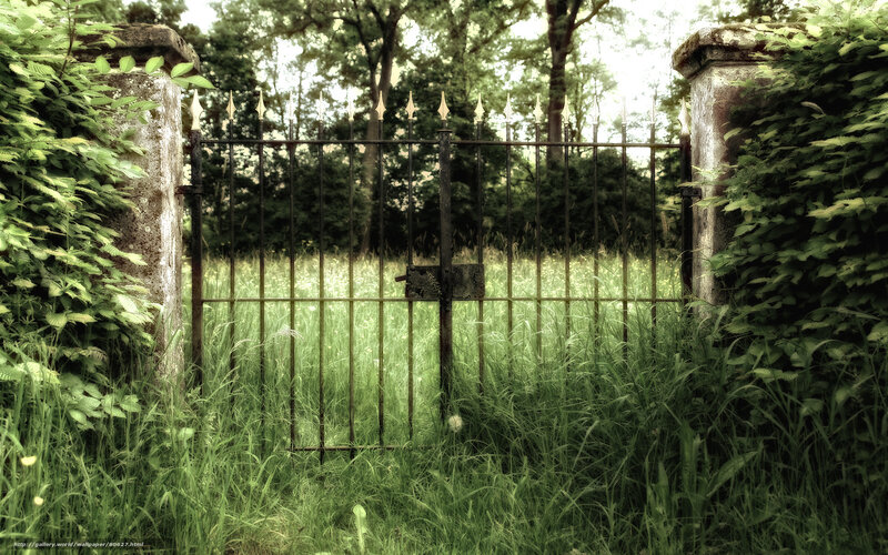 overgrown garden gate