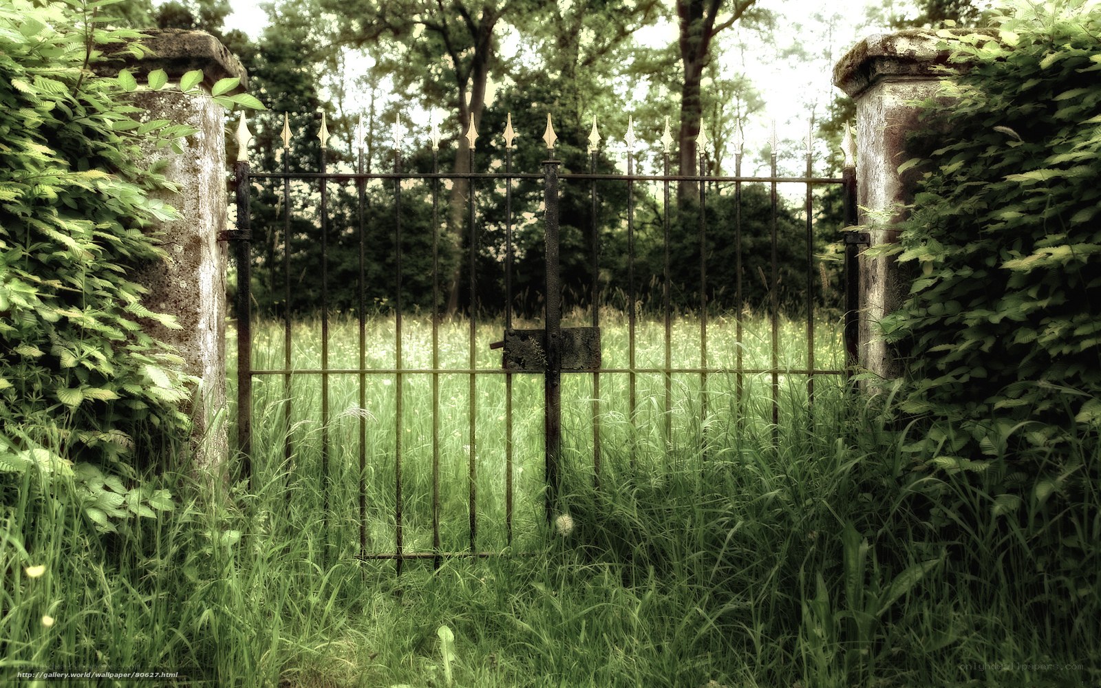 overgrown garden gate